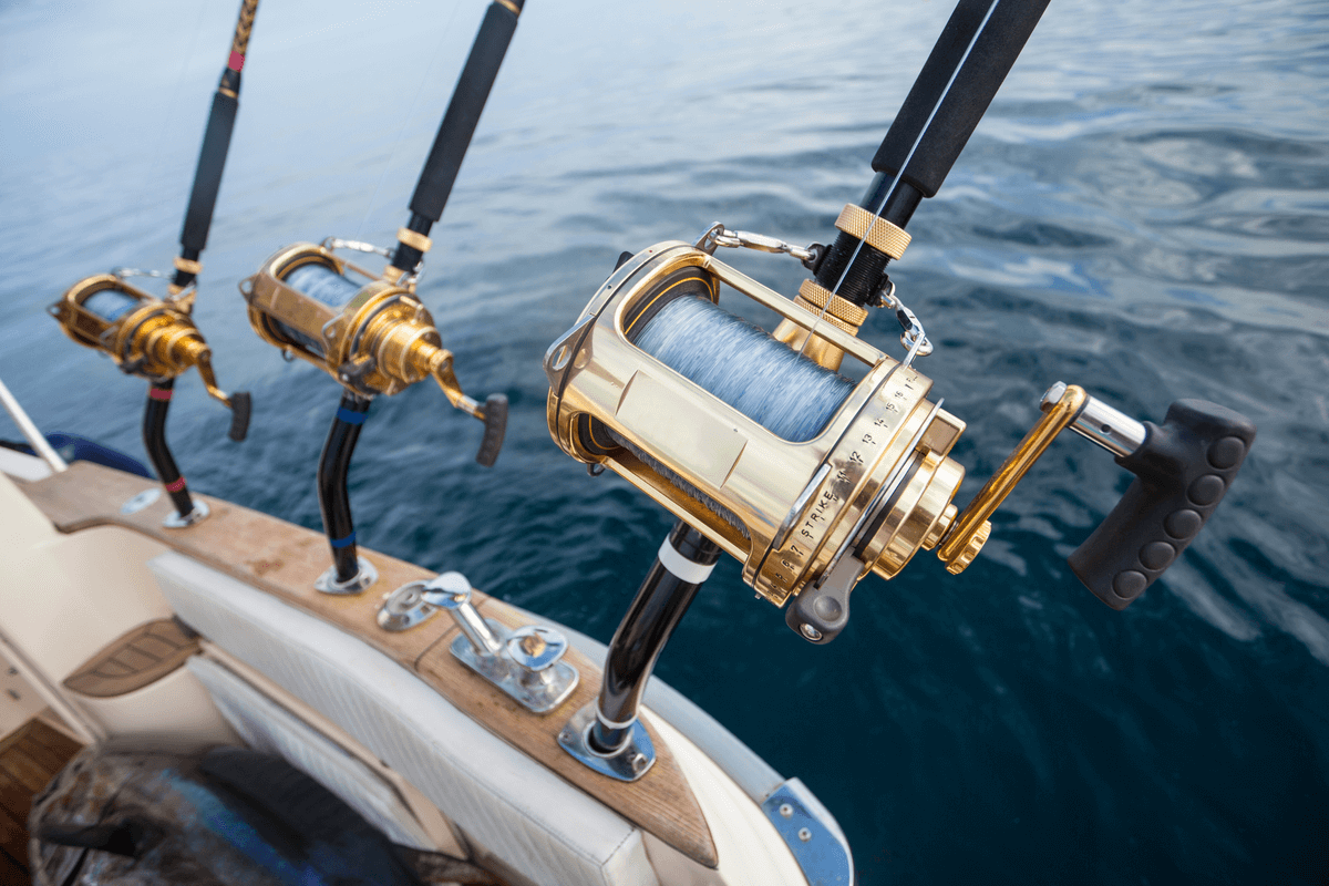 deep sea fishing news in gulf shores