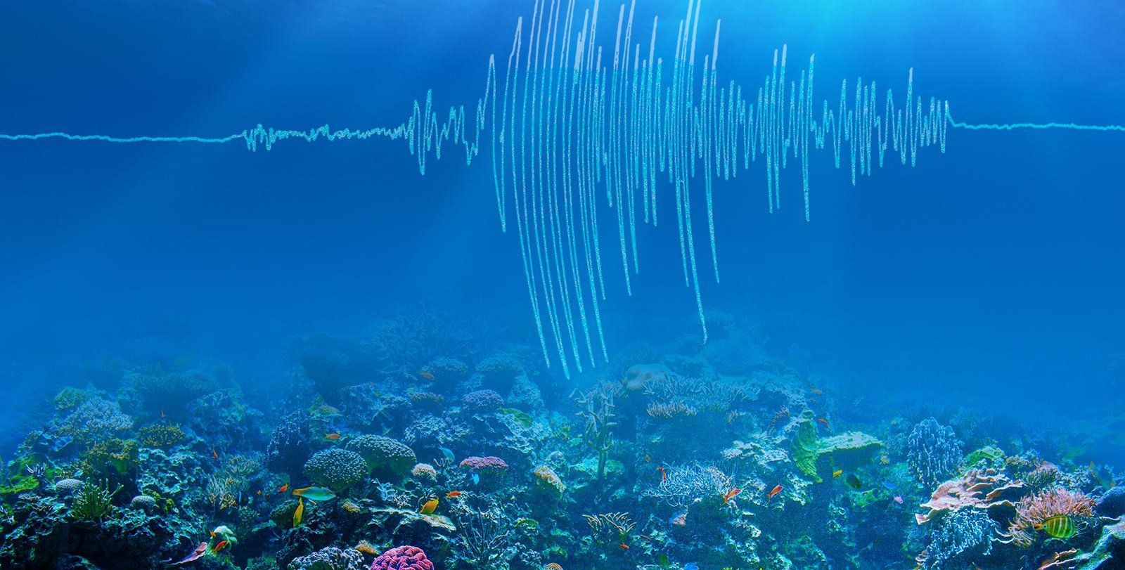 Gulf Shores Earthquake News