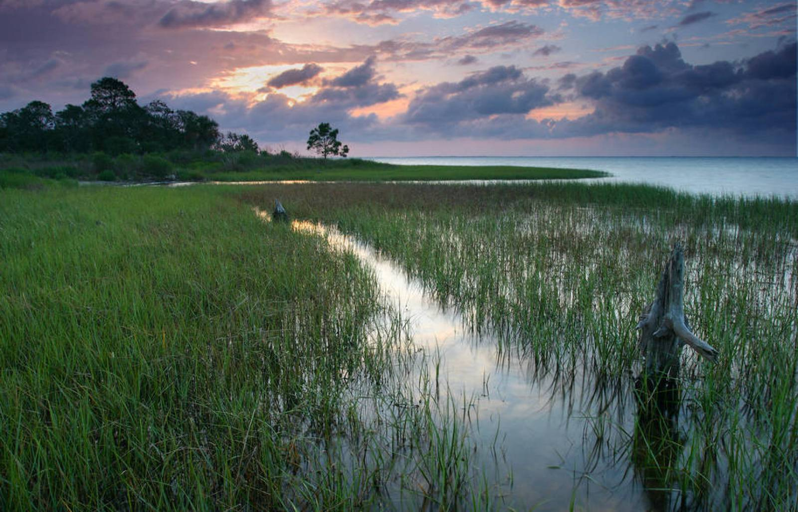 news in the Gulf Shores, Alabama area