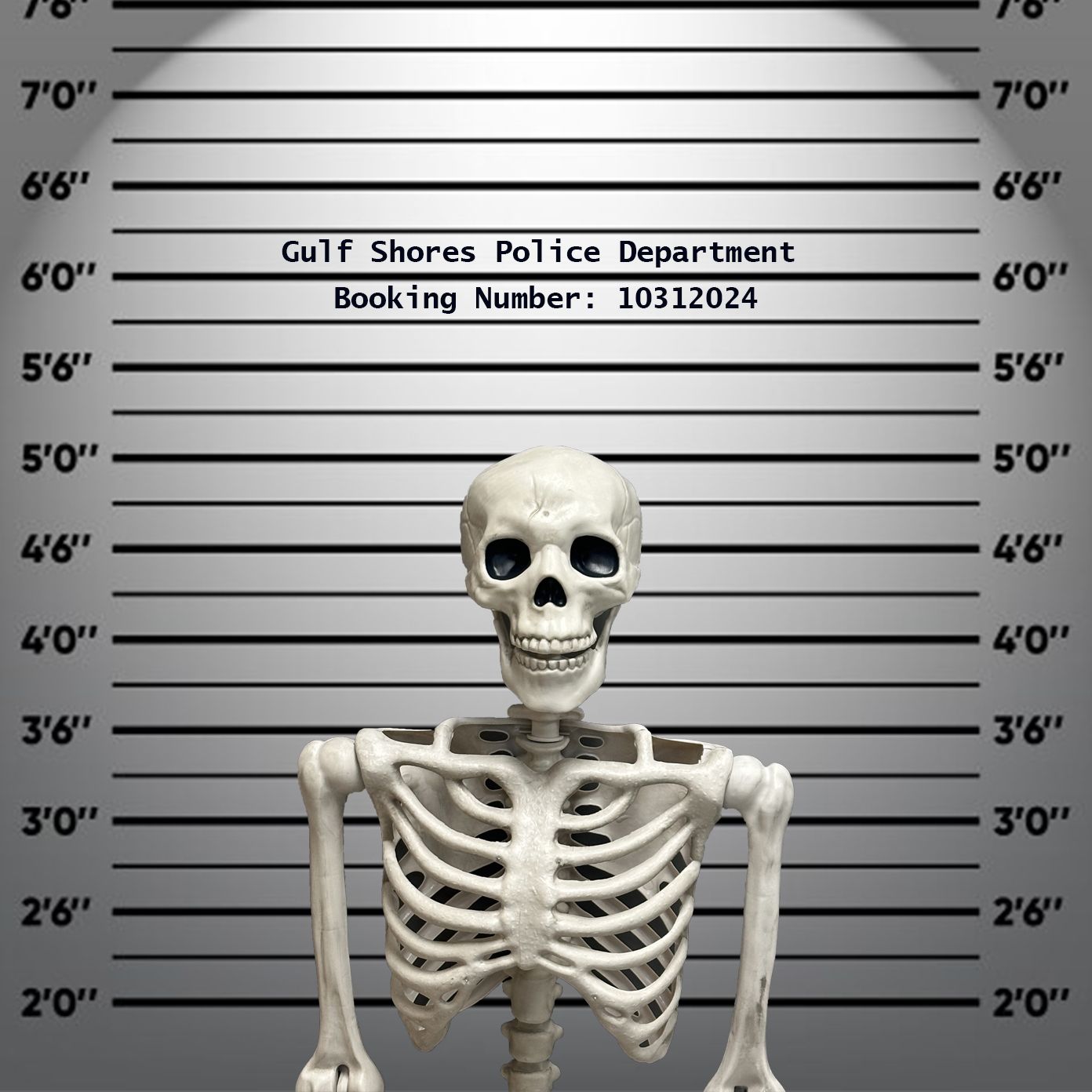 Gulf Shores Police News