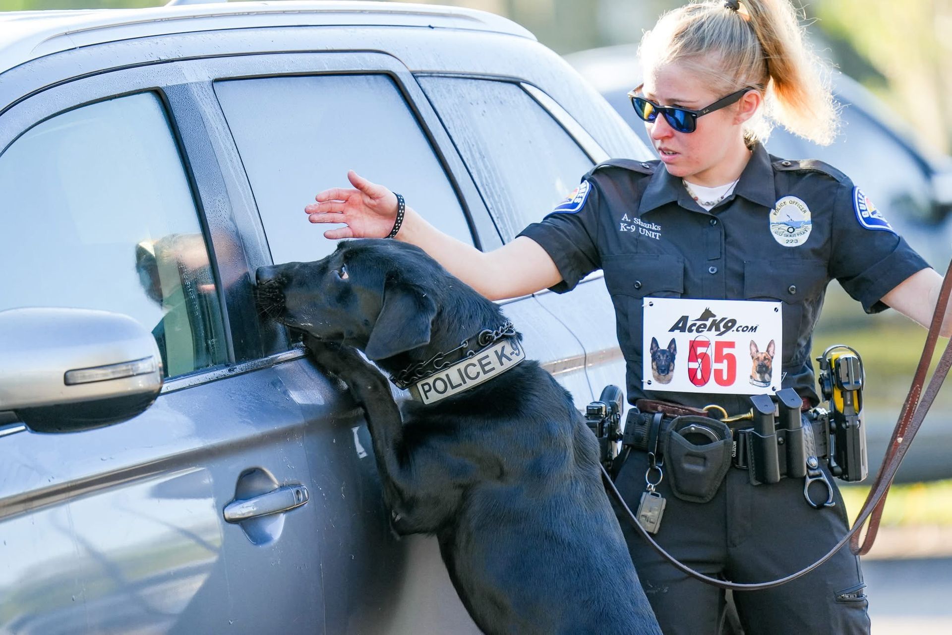 gulf shores police k-9 competition news