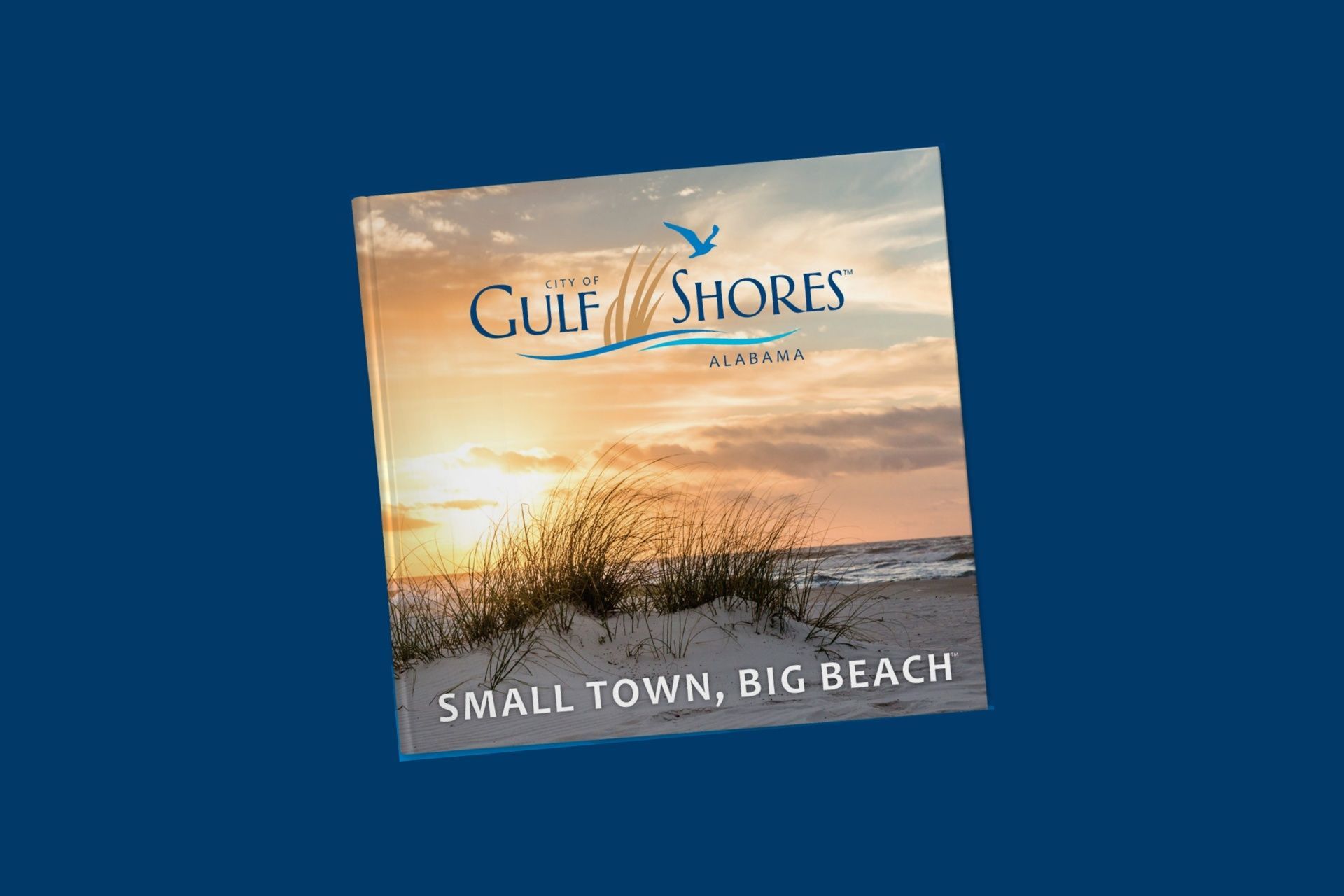 official gulf shores book news