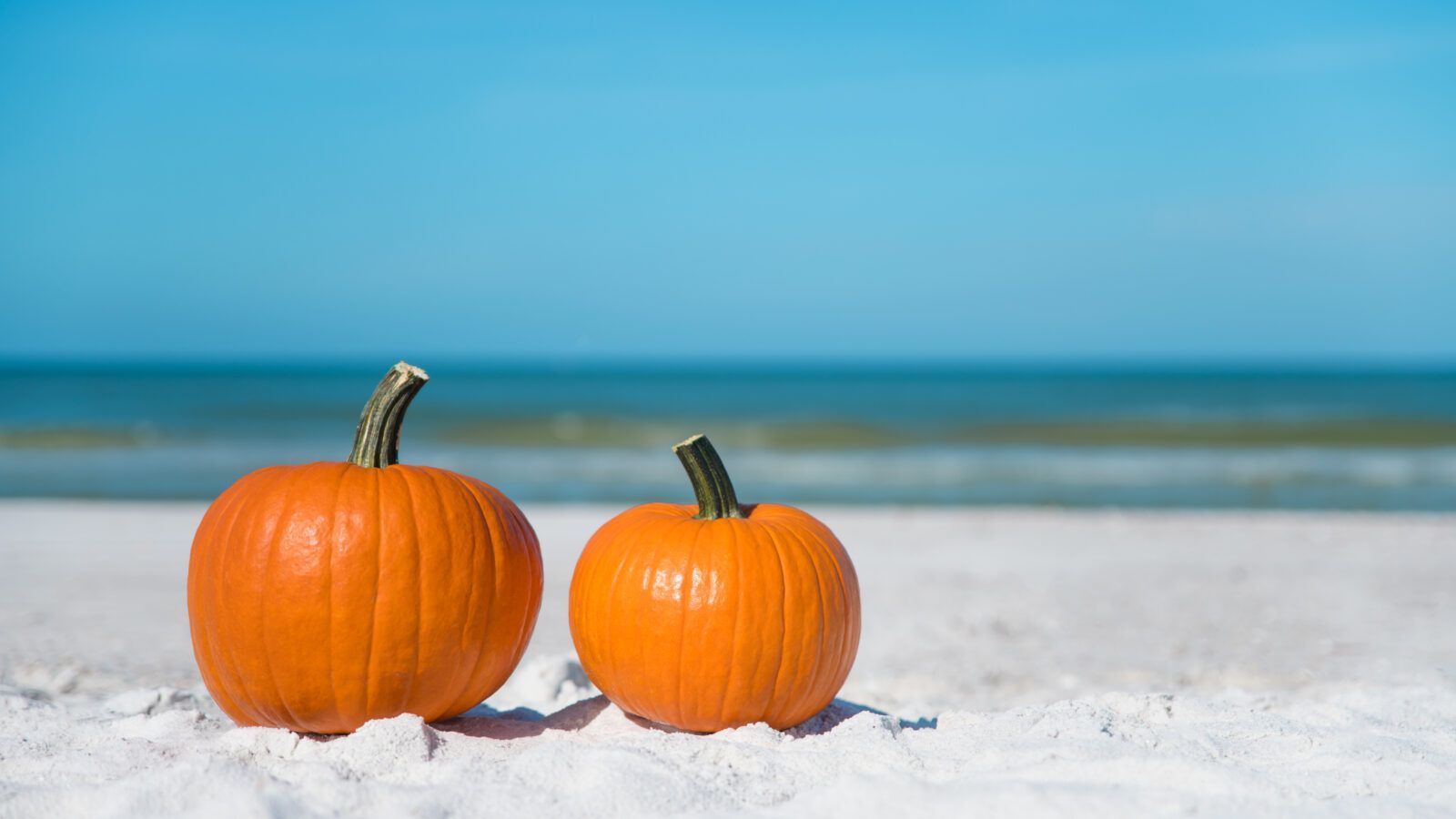 Whats happening in gulf shores in october