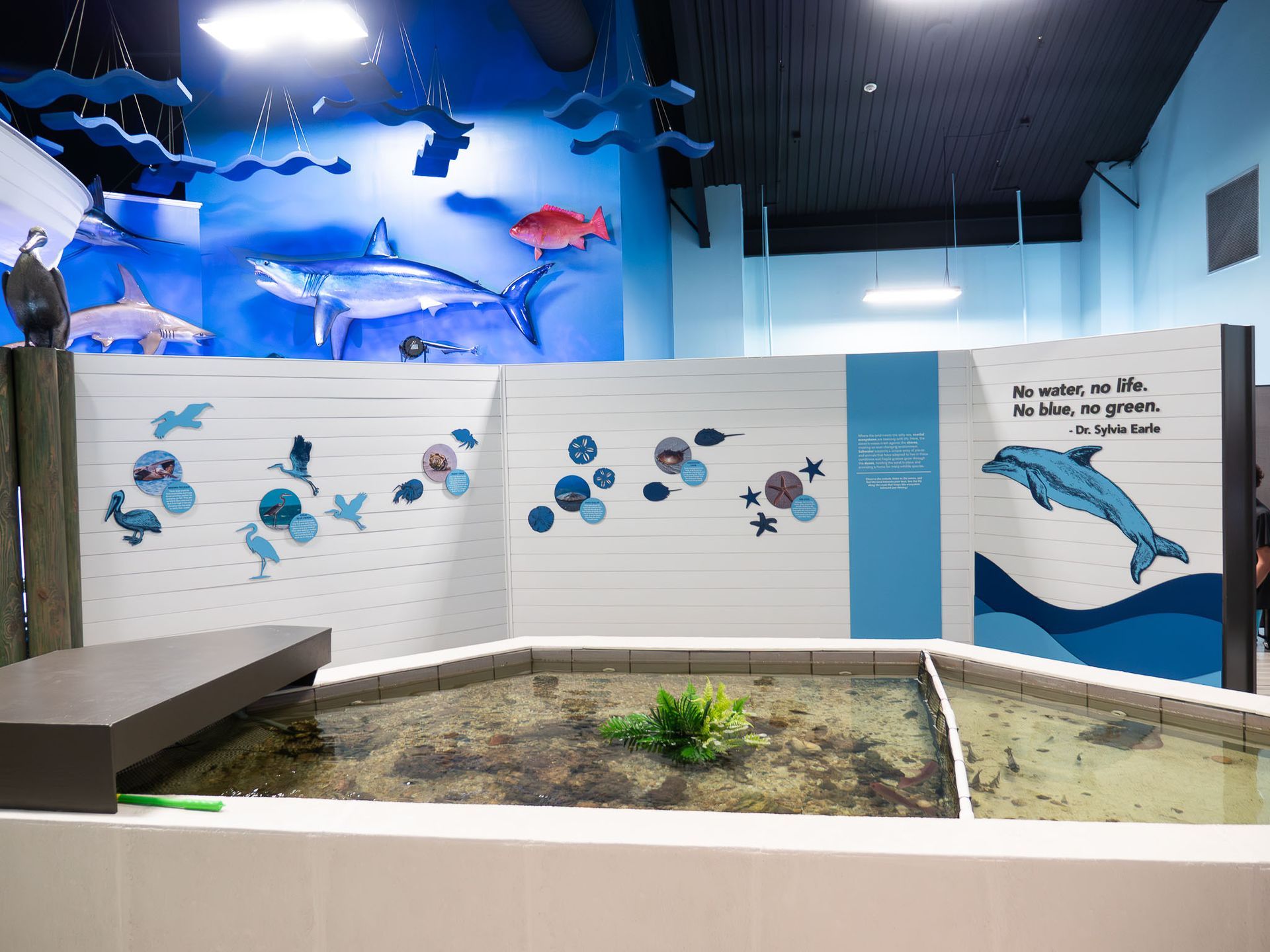 Orange Beach School science center