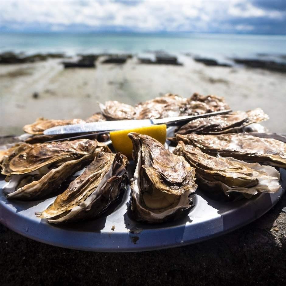 Oyster Festival 2024 Long Island Beach Erna Johanna