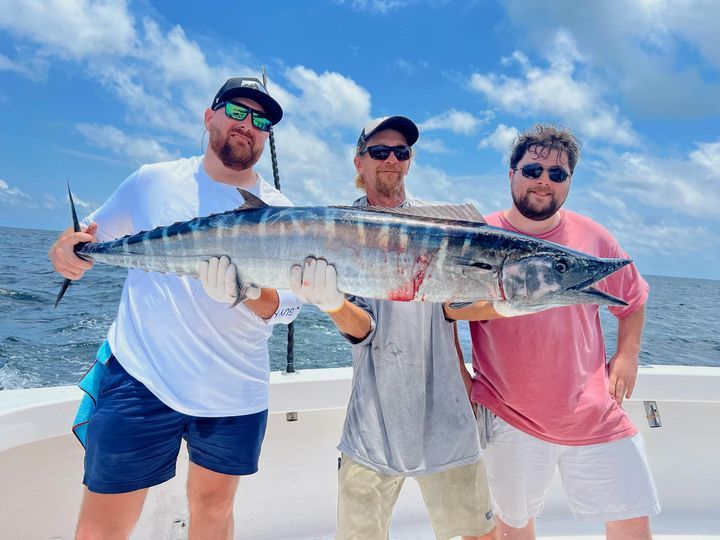 gulf shores fishing news