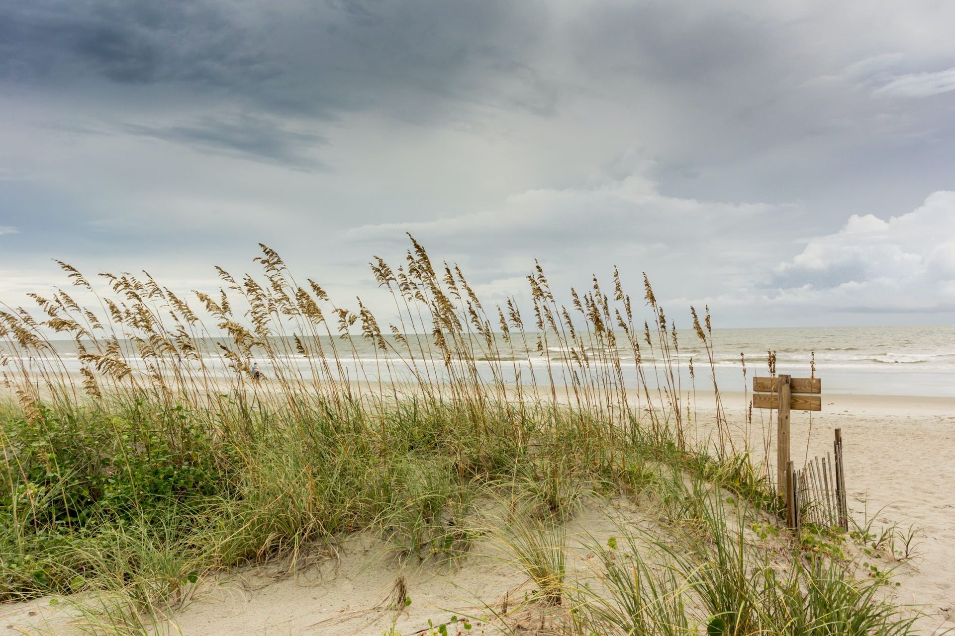 Gulf Shores Beach Renourishment News