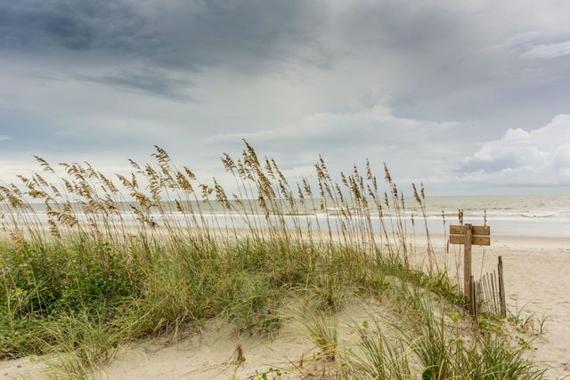 Perdido Key Beach