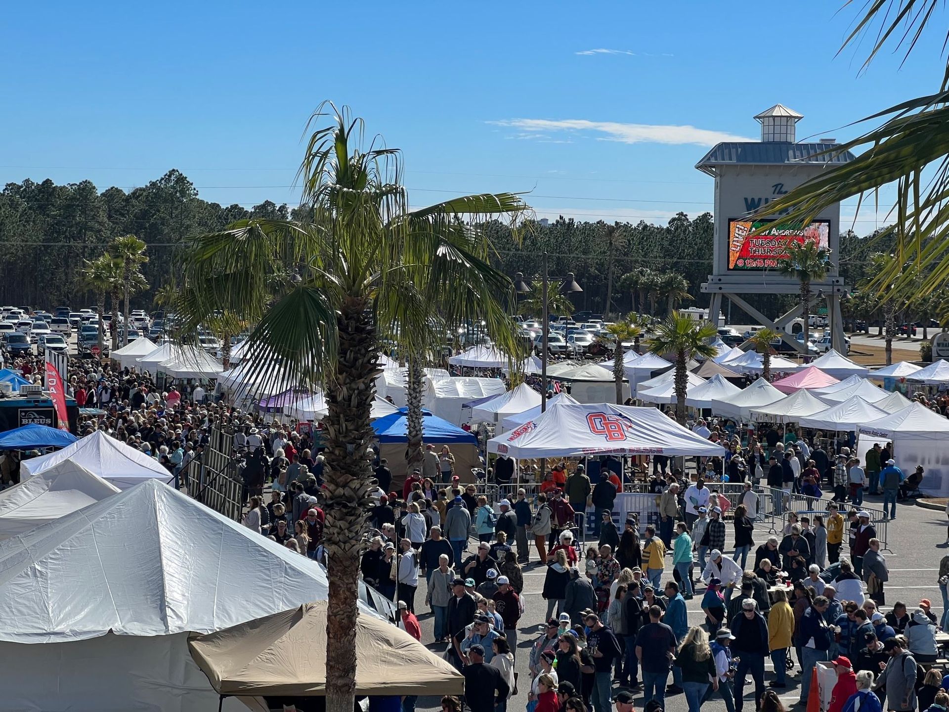 Orange Beach Seafood Festival Sets New Record