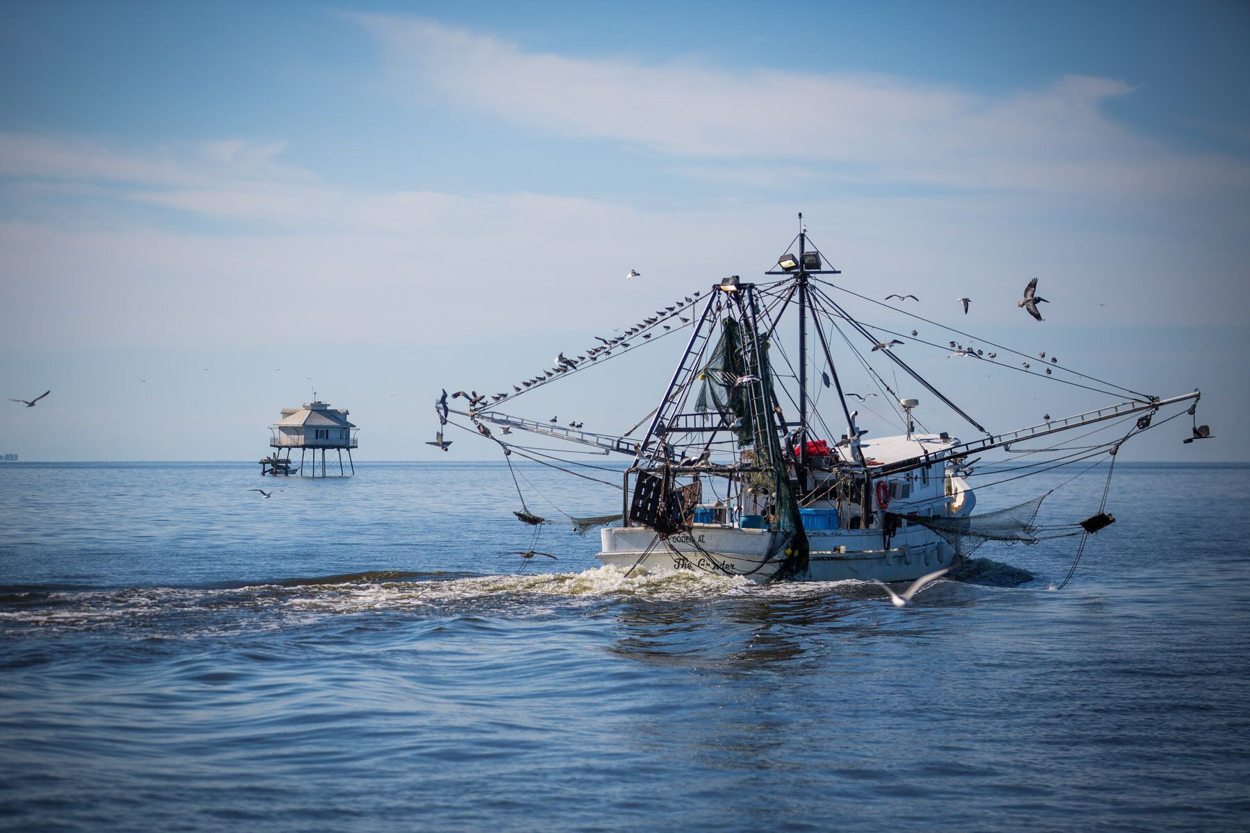 gulf shores fishing news