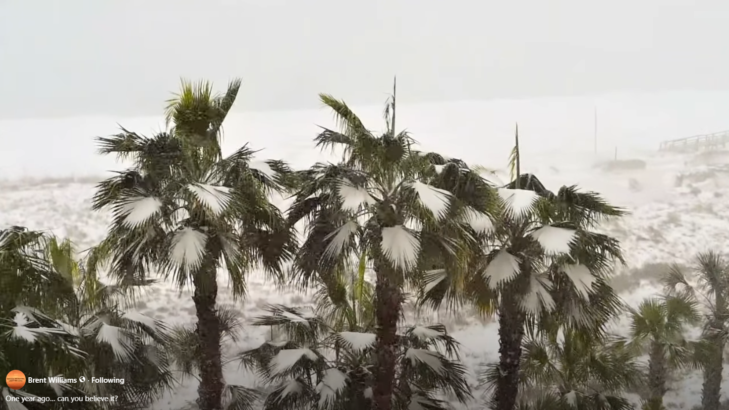 Gulf Shores Weather News