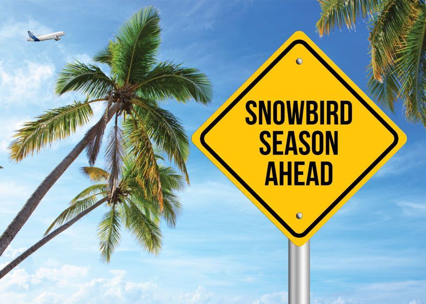 gulf shores snowbird news