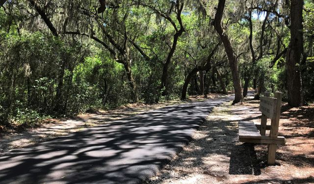 Willow Pond Nature Trail, Fort Clinch State Park