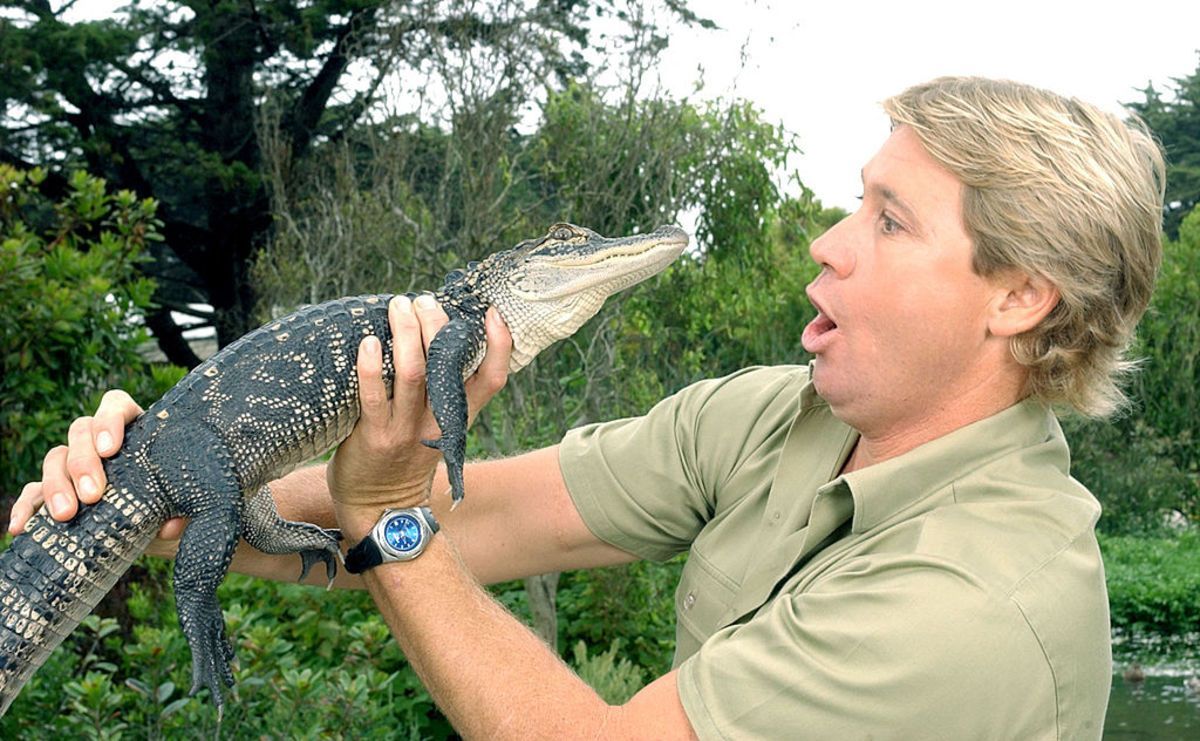 National Steve Irwin Day