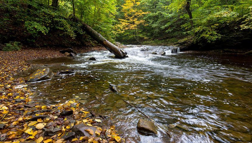 gulf shores area streams to be cleared