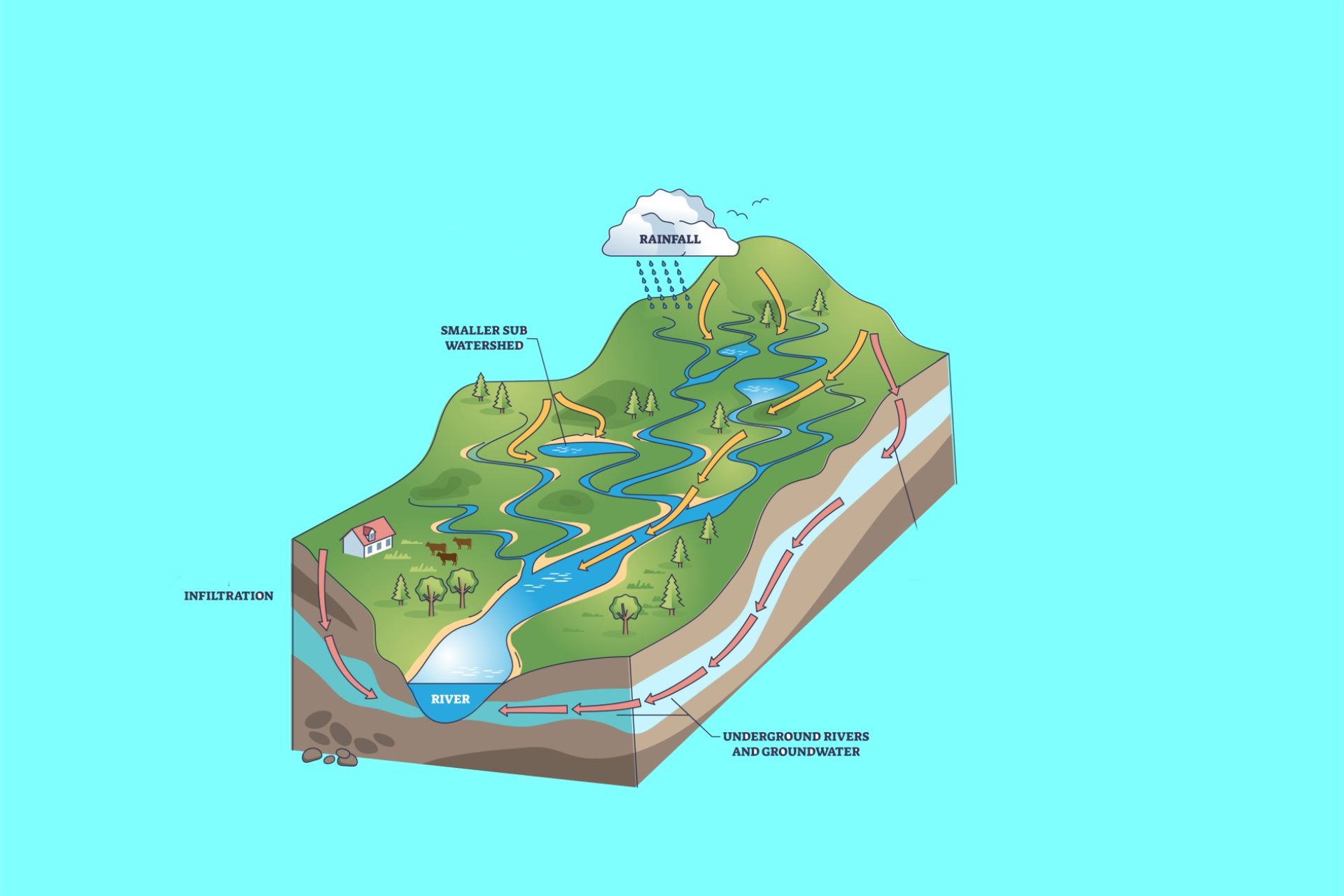 gulf shores news watershed