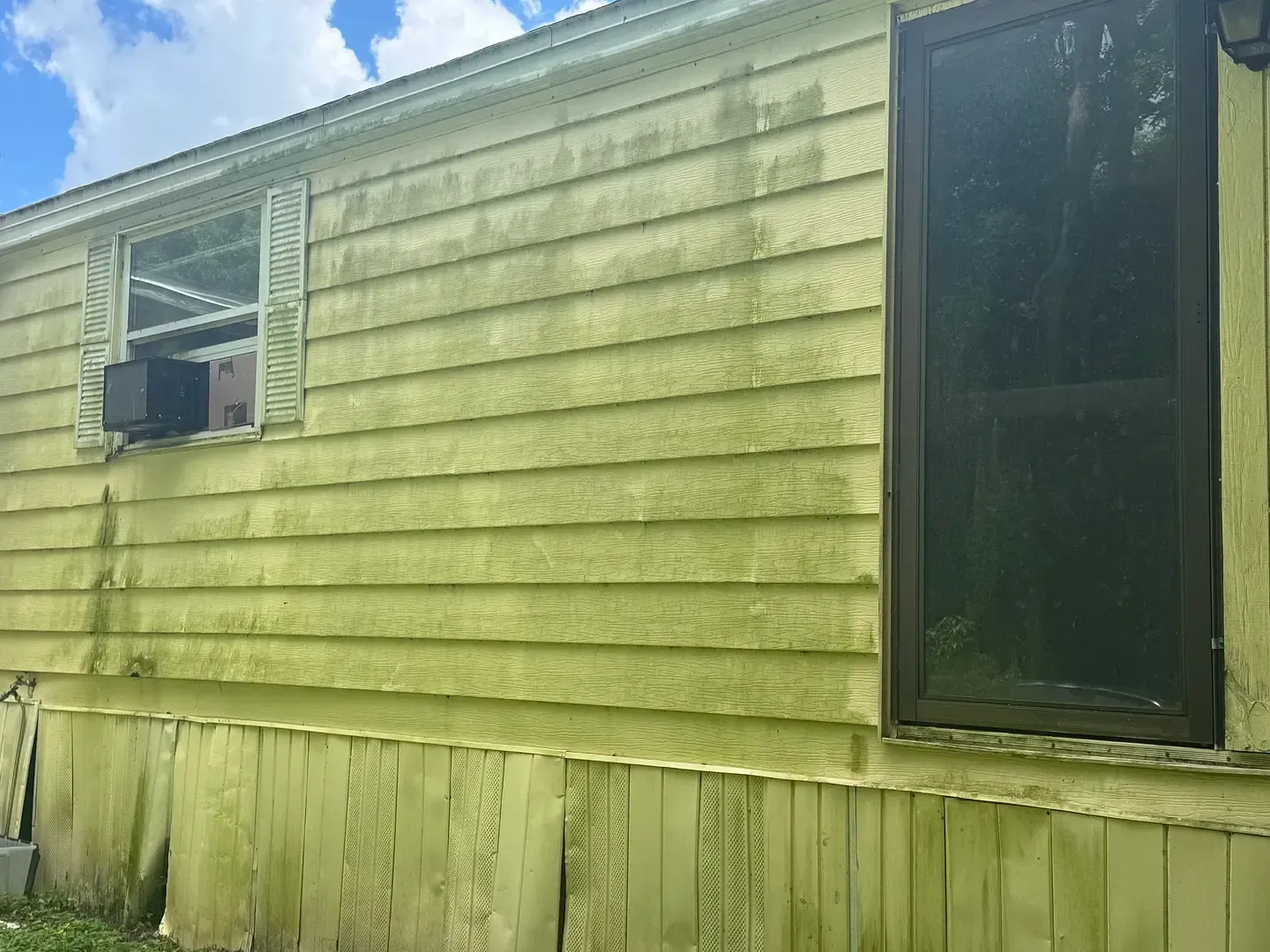 Green algae growth on yellow siding of a building with a window and screen door.