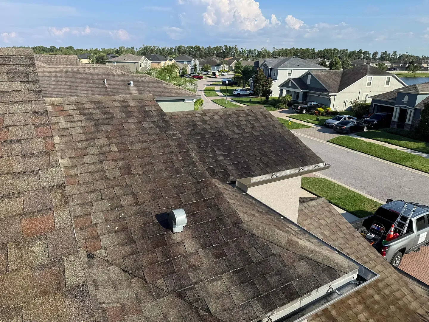 Roof of a house covered in dark stains, a clear sky, and neighborhood houses visible in the background.
