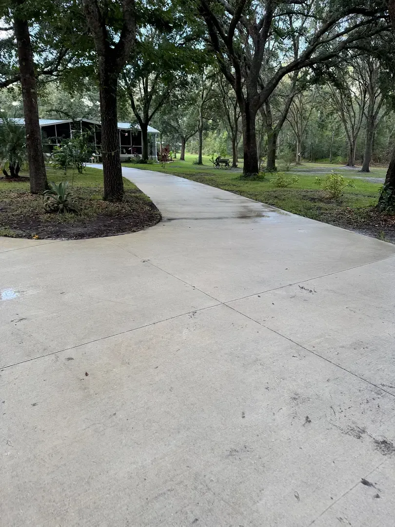 Concrete driveway leading to a house, lined with trees.