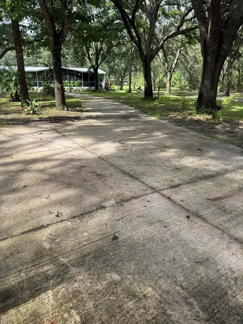 Concrete driveway leads to a home, shaded by trees, in a natural setting.