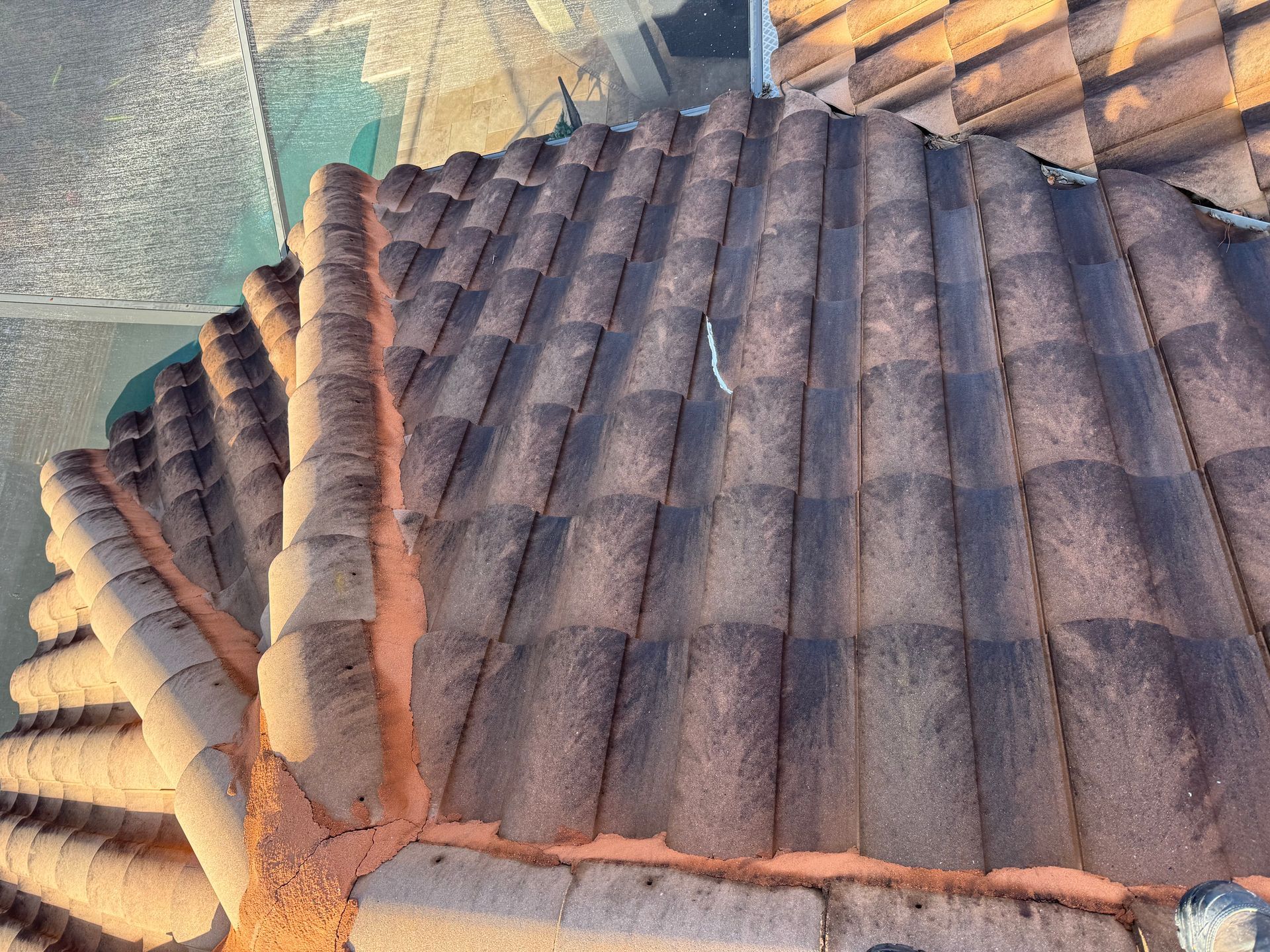 Roof of a house covered in dark stains, a clear sky, and neighborhood houses visible in the background.