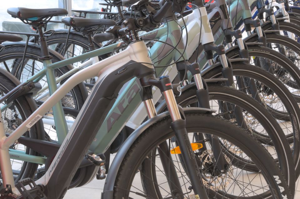 Bici elettriche