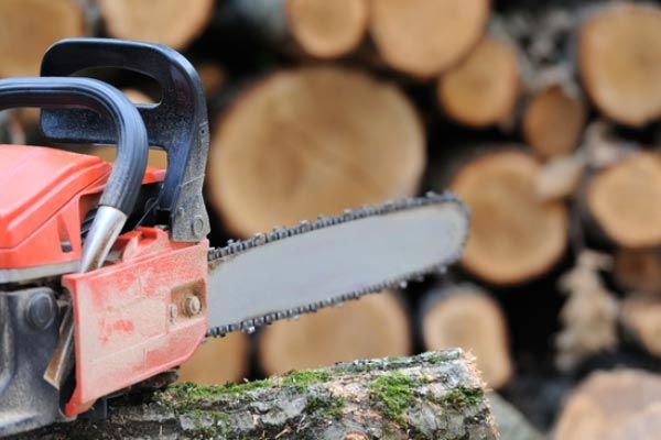 A chainsaw is sitting on a log in front of a pile of logs.