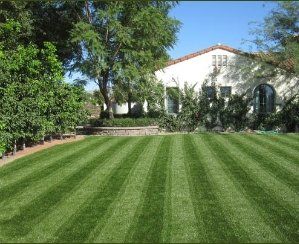 Freshly Cut Lawn - Lawn Maintenance and Services in Henderson, NV