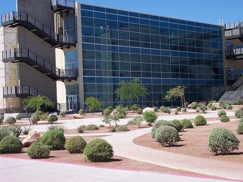 Shrubs and Gravel Landscape - Custom Desert Landscaping Services for Commercial Properties