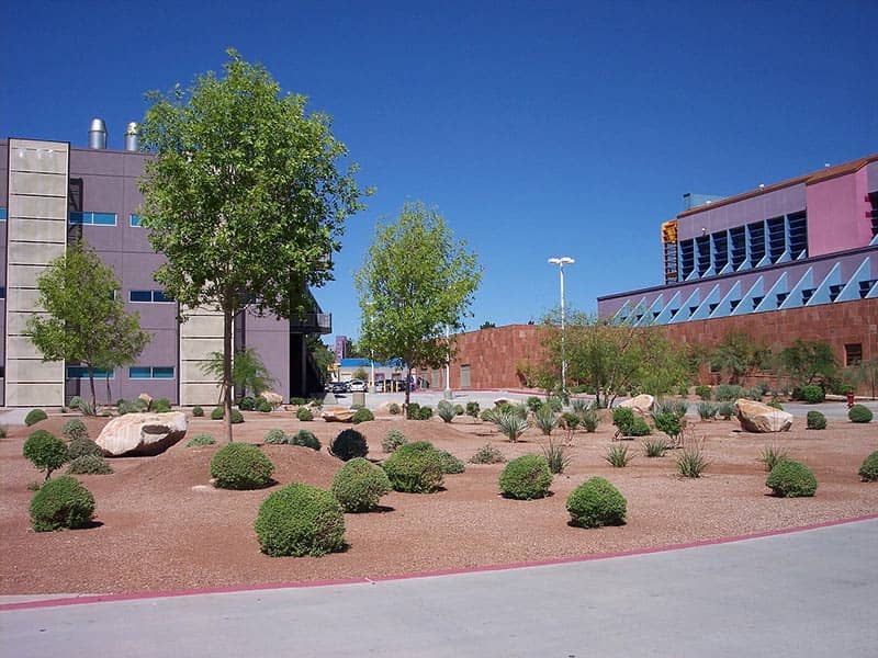 Desert Landscape - Commercial Landscaping Services in Henderson, NV