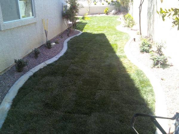 Side of Residence - Grass Installation and Lawn Care Services in Henderson, NV