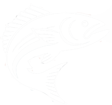 A white background with a drawing of a bird on it.