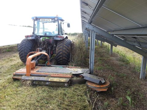 grass cutting under solar farm  panels