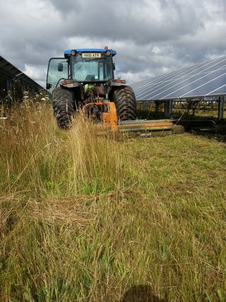 solar farm panels with grass cutting in progress