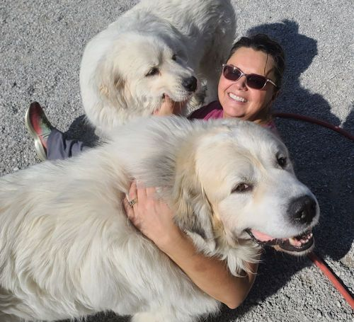 laura-s-dog-retreat-home-section-images