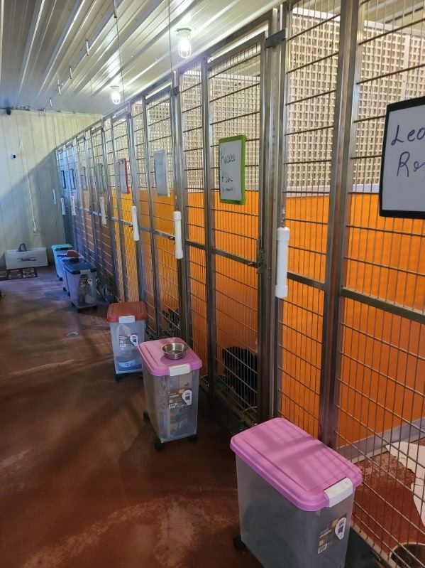 aura-s-dog-retreat-pet-care