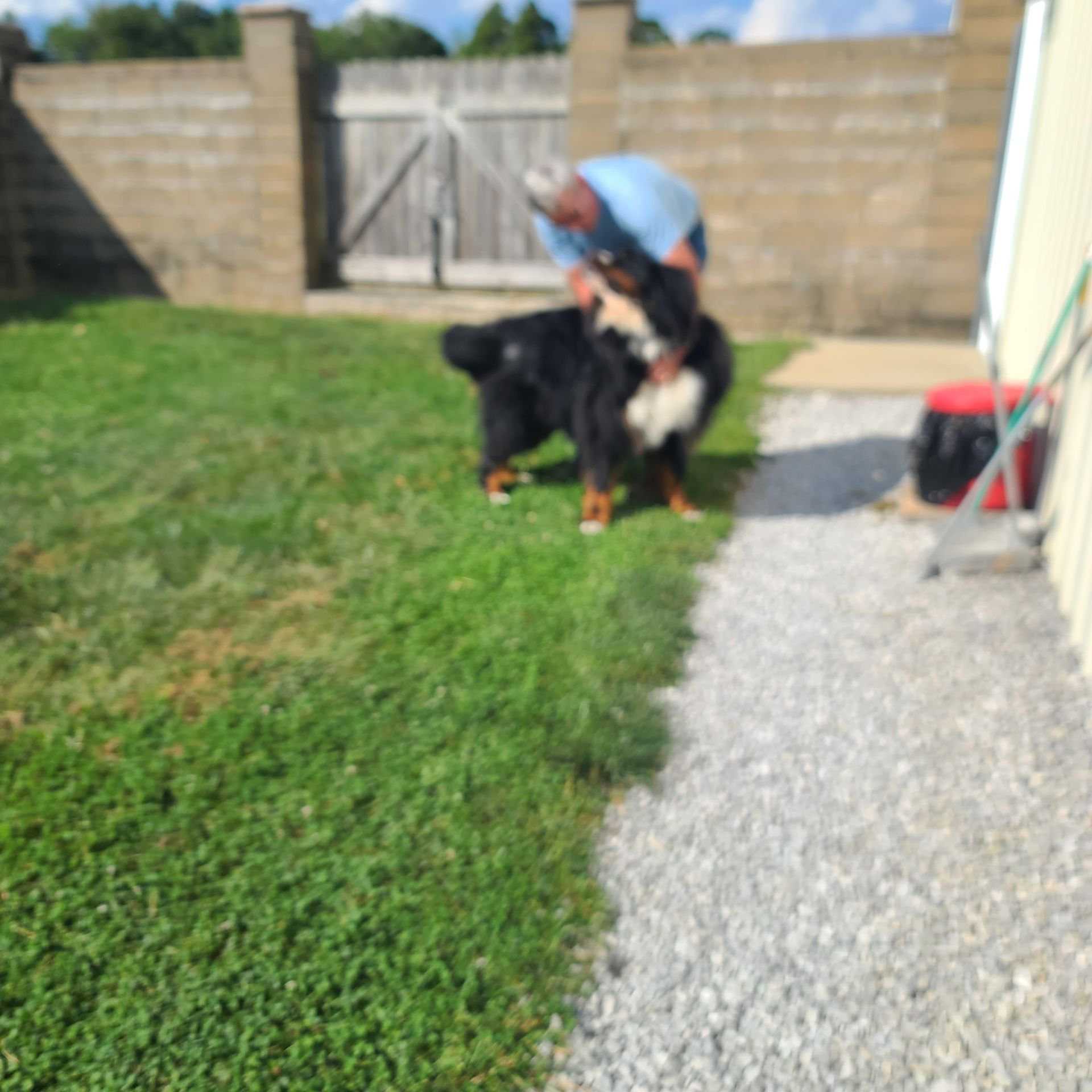 laura-s-pet-retreat-care.