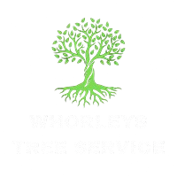 Green tree logo with "Your Roots Water Service" text.