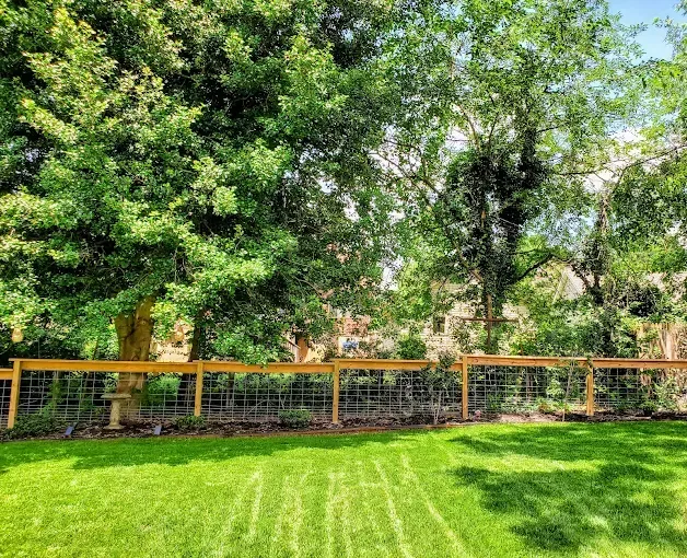 Green lawn with a wooden fence and lush trees in a sunny backyard.
