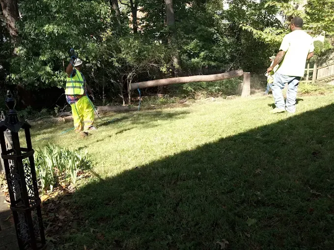 Two men in backyard; one in safety vest, grass.