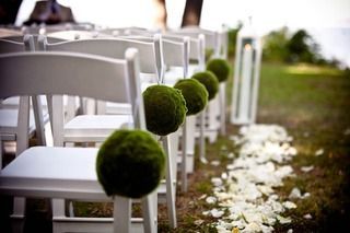 A row of white chairs with green balls on them.