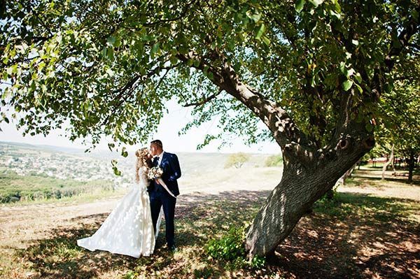 A bride and groom are kissing under a tree on their wedding day.