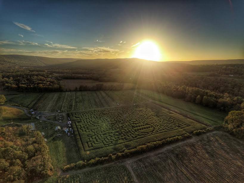 Mazezilla, sunset over the farm
