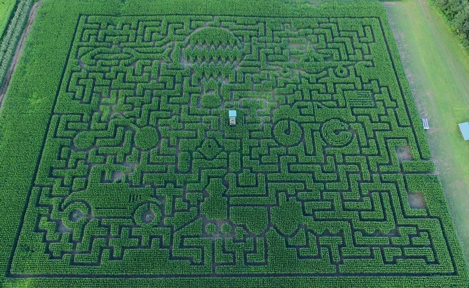 Mazezilla, Mazezilla corn maze