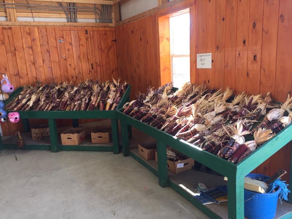 Mazezilla, corn, produce stand