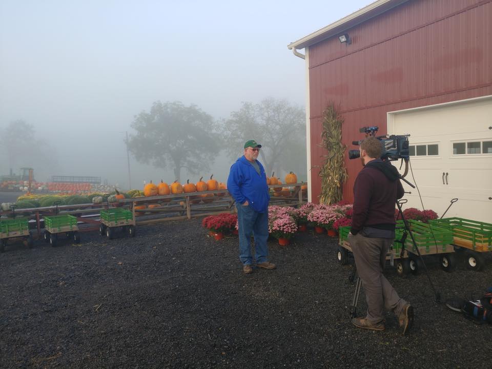 Mazezilla, corn maze