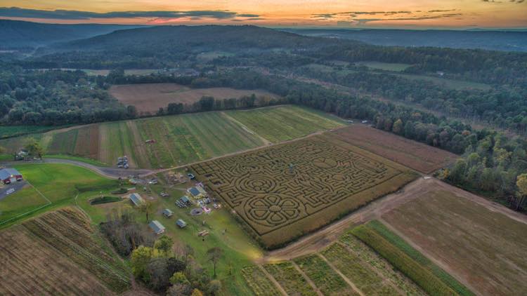 Mazezilla, overview of Mazezilla