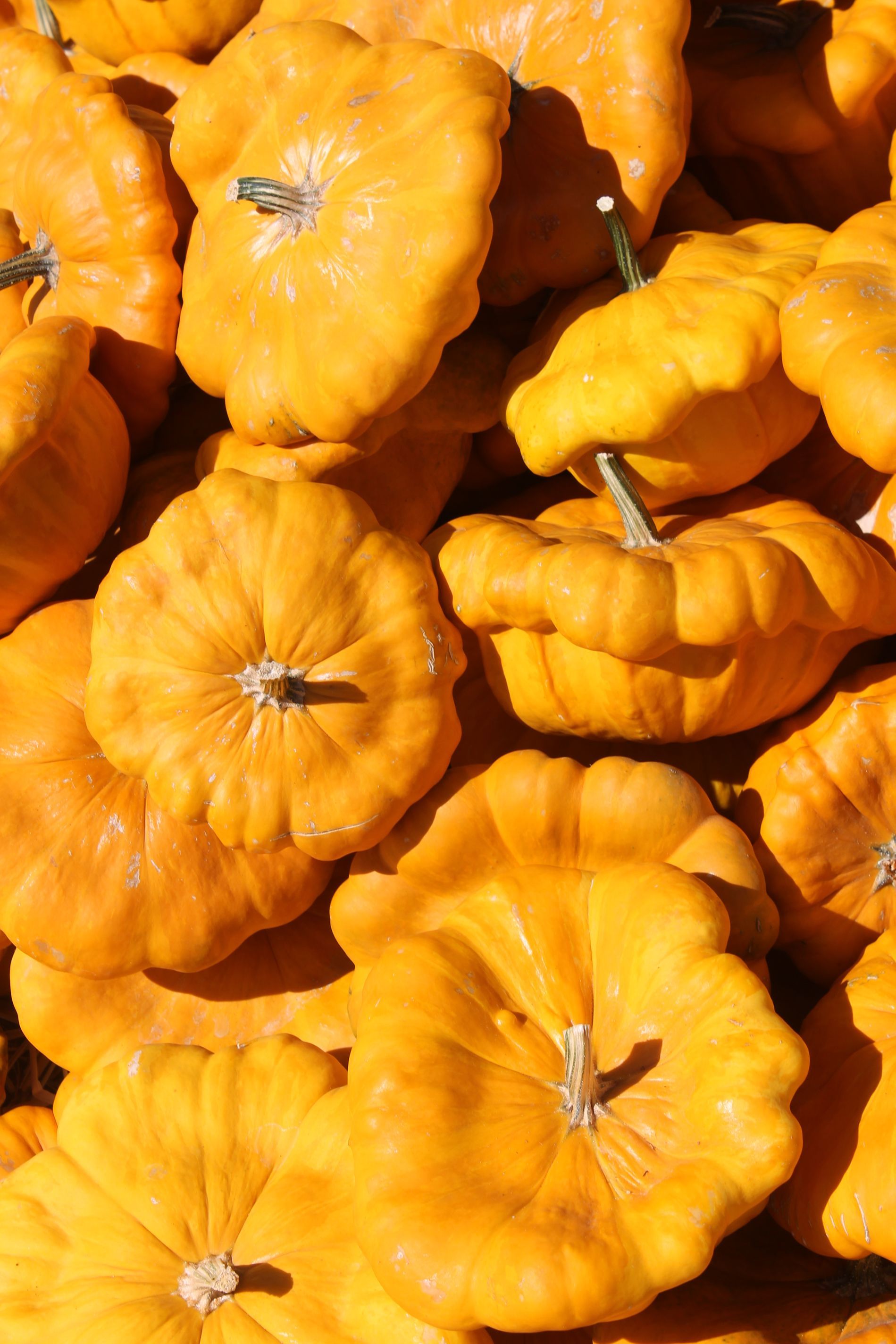 A bunch of yellow pumpkins are stacked on top of each other