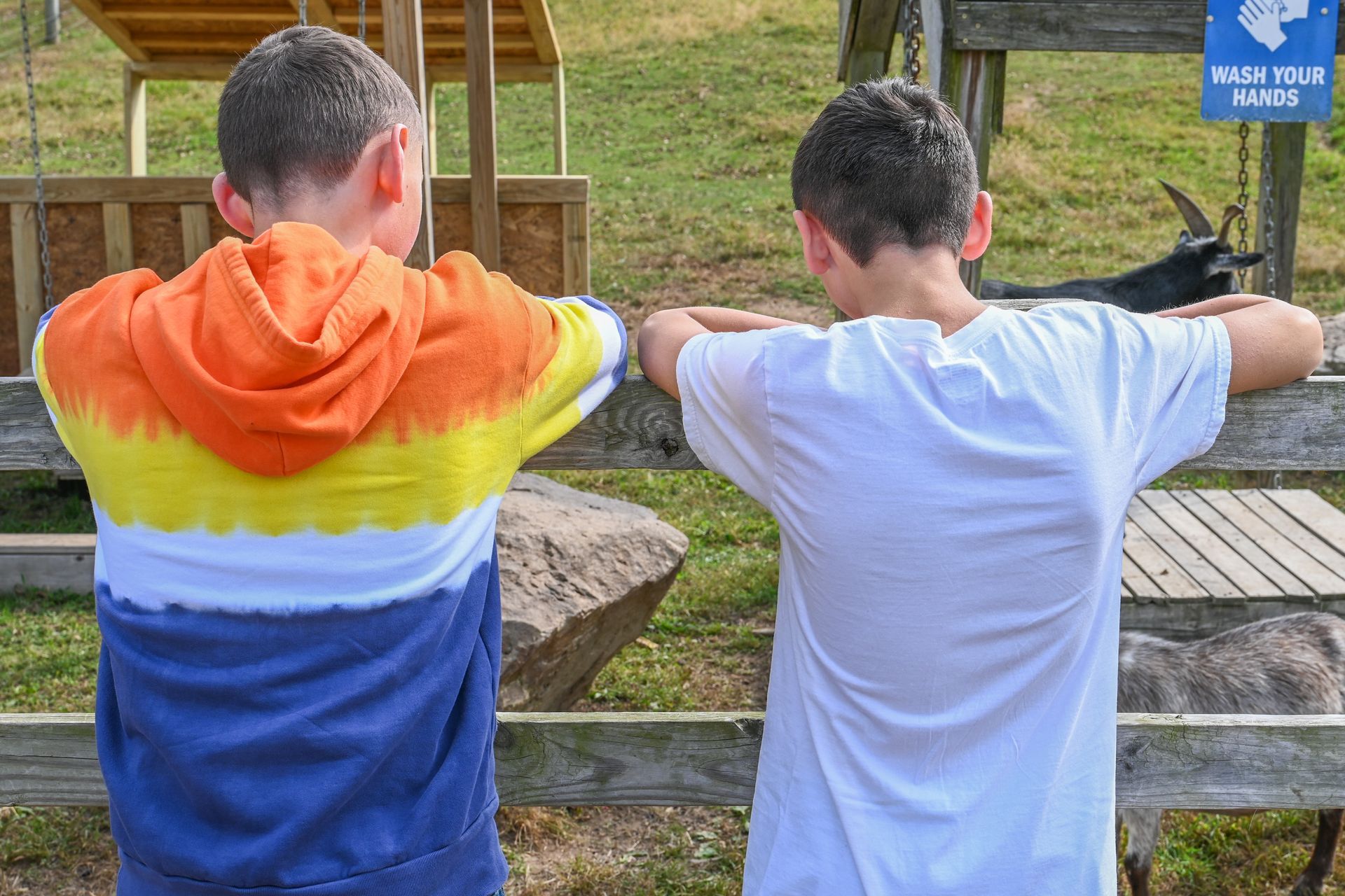 Two boys, facing away, lean on a fence looking at goats in a pen at an outdoor farm. One boy wears a tie-dye hoodie.