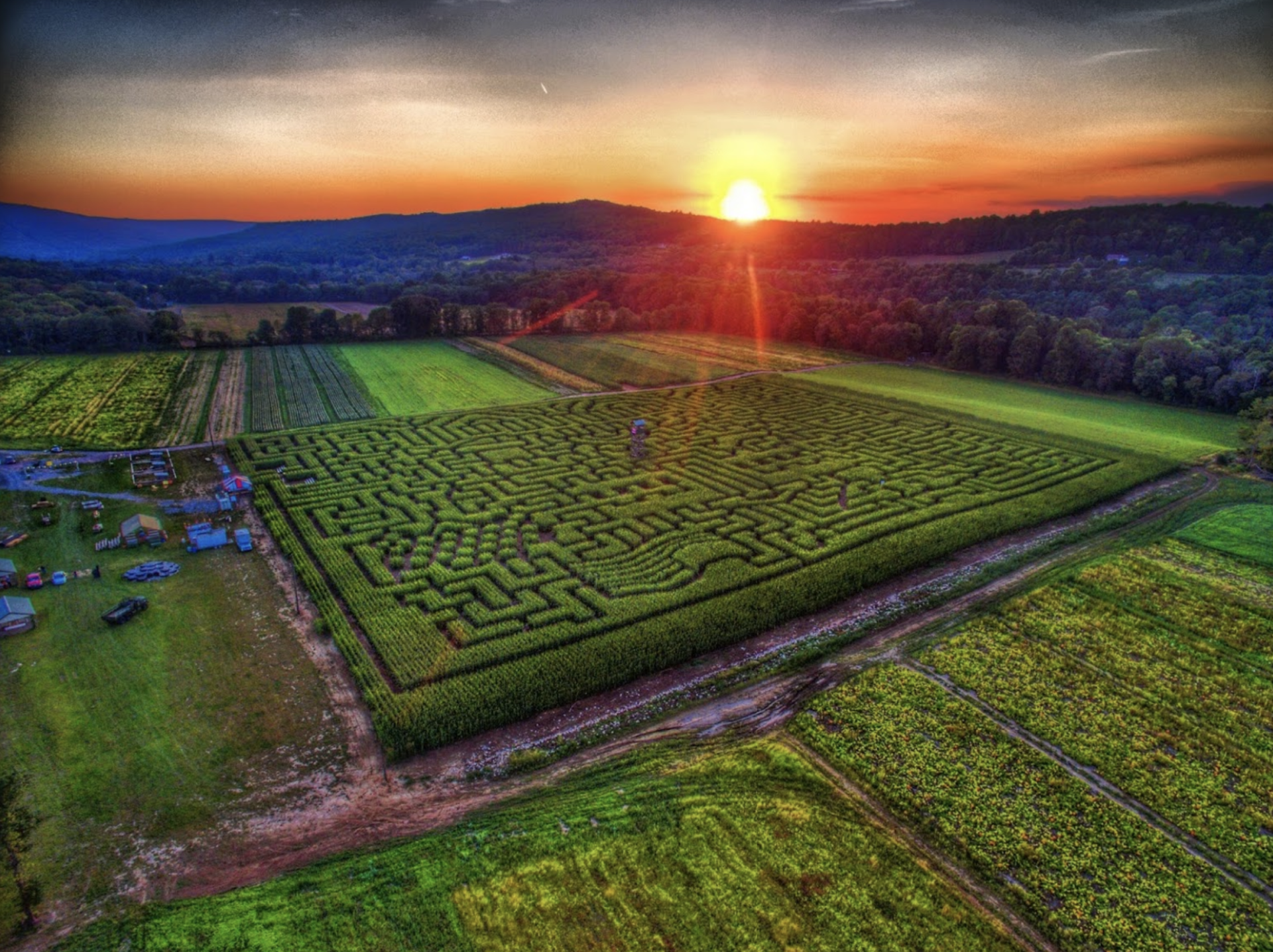 Mazezilla, overview of corn maze